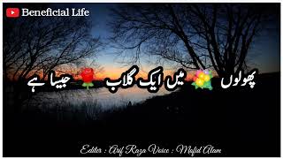 sab shayri [upl. by Leimad]