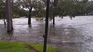 COLORADO RIVER FLOODING NEAR KINGSLAND [upl. by Drew]