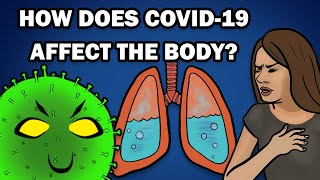 HOW DOES COVID19 AFFECT THE BODY [upl. by Hniv]