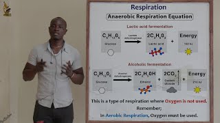 17 Respiration Anaerobic Respiration Biology Form 2 [upl. by Nonrev]