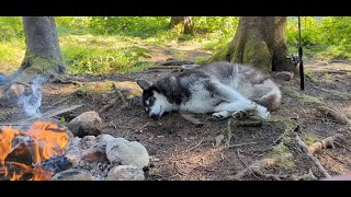 Campground Review Lac du Sourd PapineauLabelle Wildlife Reserve [upl. by Kurtz185]