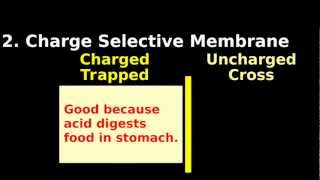 Ion Trapping Pharm Intro Tutorial Aspirin weak acid charge selective membrane [upl. by Artaed186]