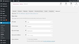 How To Create Cart And Checkout Pages In WordPress WooCommerce Pages Setup Guide [upl. by Akenehs]