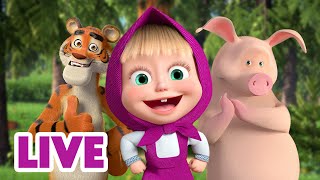 🔴 LIVE STREAM 🎬 Masha and the Bear 🤸‍♂️ Jump Skip and Hop together 🏃🙌 [upl. by Ayatal]