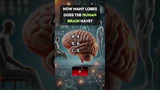 🧠 Can You Ace This Anatomy Quiz Test Your Knowledge Now [upl. by Rudy]