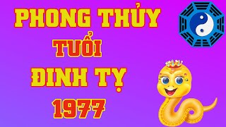 Phong Thủy Tuổi Đinh Tỵ 1977 [upl. by Lahtnero]