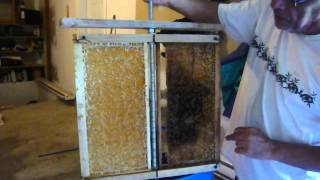 Homemade Honey Extractor [upl. by Oira866]