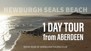 Luke Tours presents Newburgh Seals Beach  1 Day Tour from Aberdeen [upl. by Arta]