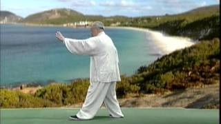 Tai Chi Yang 13 Form [upl. by Niamrahc]