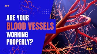 Long Covid research Vascular and endothelial dysfunction [upl. by Ainavi610]