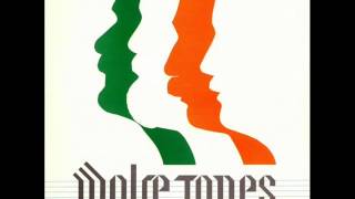 The Man From Mullingar  The Wolfe Tones [upl. by Nairot921]