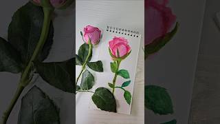 Watercolor rose painting😇🥰 art artist diy watercolorpainting youtubeshorts trending shorts [upl. by Halladba977]