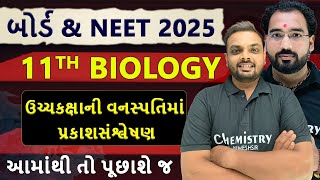 PHOTOSYNTHESIS In Higher Plants STD 11 Biology Chapter 11 Most IMP NEET PyQ With Solution [upl. by Atteuqnas]