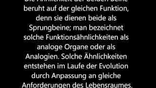 Belege für die Evolution Analogien [upl. by Bowen209]