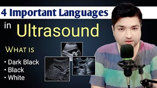 4 Important Language in Ultrasound by Dr Ali Waqar [upl. by Rasla]