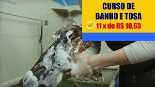 👉 Aprenda a cuidar de Pets  Curso de Tosa e Banho em Pets [upl. by Moreen]