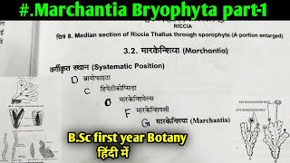 Marchantia Bryophyte part1  Morphology and Anatomy of Marchantia thallus  BSc 1st year Botany [upl. by Beryl]