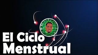 Ciclo menstrual  Menstruación 3D [upl. by Chaffinch951]