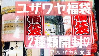 【毛糸購入品】ユザワヤ福袋開封☆アルパカ福袋と大玉福袋の2種類を購入しました [upl. by Ayaladnot576]