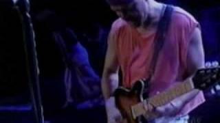 Van Halen  cant stop loving you live 1995 [upl. by Ayeka]