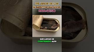 PELIGROS DE LOS ALIMENTOS SALADOS PARA LOS GATOS [upl. by Aihtnyc]