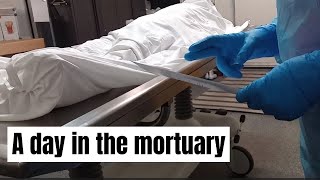 A typical day in the mortuary [upl. by Rurik]