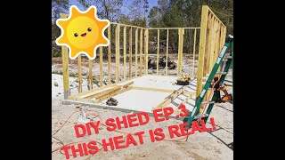 How to build a shed 12x20  Erecting walls and framing doors [upl. by Aaronson]