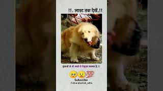 इंसानो‌ से तो अच्छे ये वेजूवन जानवर है 🥺♥️ sadvideostatusfeelingsvairalvideo [upl. by Nednyl]