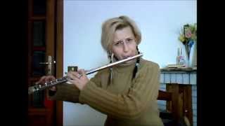 Braveheart Theme Flute [upl. by Ailalue]