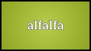 Alfalfa Meaning [upl. by Aicel]