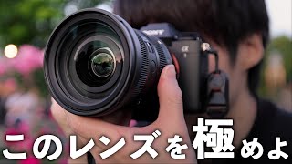 カメラを買ったらすぐ覚えるべき標準ズームレンズの使いこなし術【SIGMA 2470mm F28 DG DN II  Art】 [upl. by Roldan705]