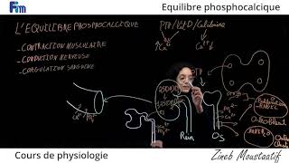 Cours de Physiologie lEquilibre Phosphocalcique [upl. by Rintoul]