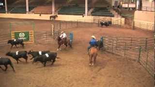 Introduction to Ranch Sorting [upl. by Chambers]