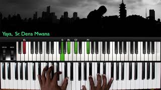 Yaya de la Sr Dena Mwana  Piano cover [upl. by Hayifas]