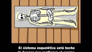 Cuerpo Humano  BrainPOP Español [upl. by Jepum52]