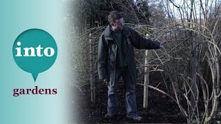 Pruning rambling roses with Ian le Gros from RHS Hyde Hall [upl. by Smoot]