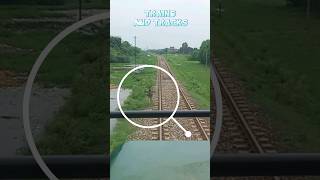 Live big donkey hit with fastest train shredded under wheels of train on track live donkey shorts [upl. by Retsehc]