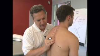 Thoracic Spine Anatomy and Palpation with Michael Lucido [upl. by Ira]