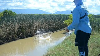 BARRA SURFACE BOOFS Townsville fishing SECRET location 2023 [upl. by Harman481]