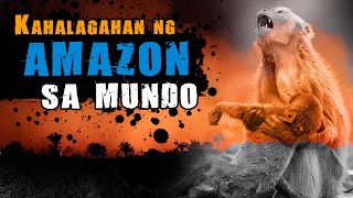 Mga Dahilan Kung Bakit Mahalaga ang Amazon [upl. by Gage182]