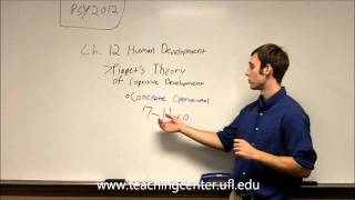 Piagets Theory of Cognitive Development [upl. by Winstonn]