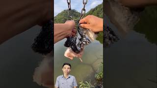 Độc lạ cách làm mồi câu cá khổng lồ cacconvat docla fishing [upl. by Noell]