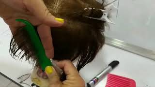 Corte de cabello básico para dama  corte clásico de dama procedimiento 56 [upl. by Kared101]