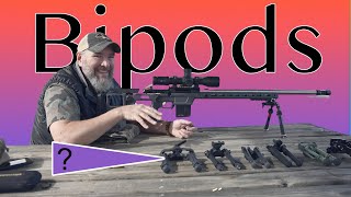 HUGE Bipod Shootout  major brands compared [upl. by Imoyn]