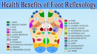 Health Benefits of Foot Massage amp Reflexology  How to Give Yourself A Foot Massage For Weight Loss [upl. by Ecnahc]