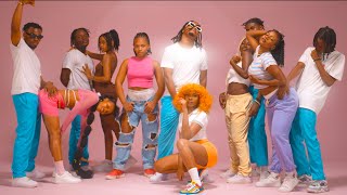 Zuchu  Kwikwi Dance Video [upl. by Lonnard]