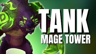 Tank Mage Tower Guide amp Full Walkthrough  Guardian Druid POV [upl. by Ybot183]