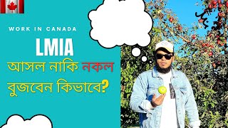 কানাডার LMIA Work Permit আসল নাকি নকল বুজবেন কিভাবে [upl. by Yblocaj235]