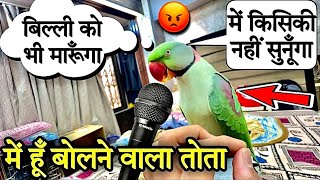 बोलूँगा अपनी मनमानी करूँगा  बोलने वाला तोता talkingparrot bolnewalatota petslover तोता mitthu [upl. by Einimod]