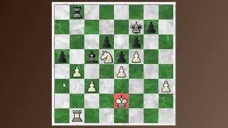 Zurich 1953 round 13 Geller vs Najdorf [upl. by Hafirahs]